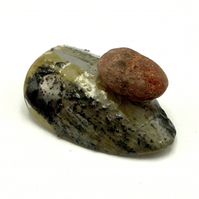 текстурна гель-паста Clay Gel 